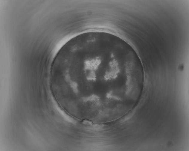 X0000110961533200907022209