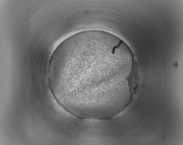 X0000110961534200907022209