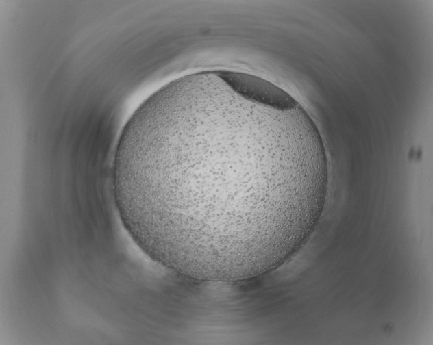 X0000110961536200907022209