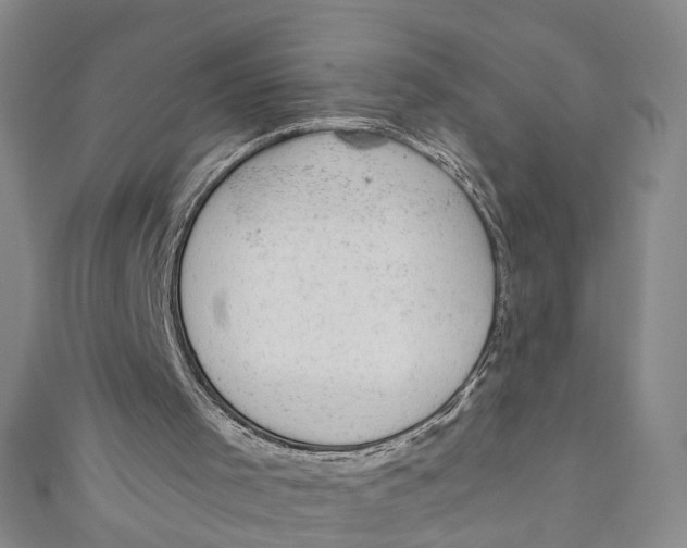 X0000110960001200907101337