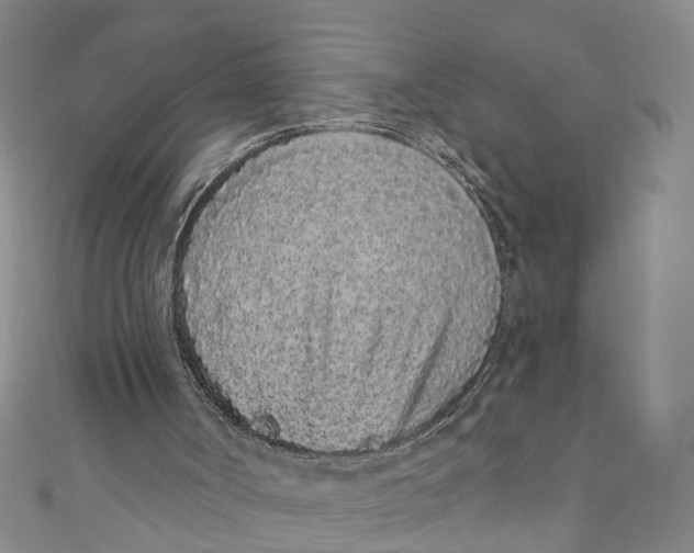 X0000110960002200907101337