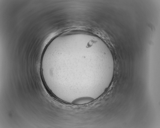 X0000110960003200907101337