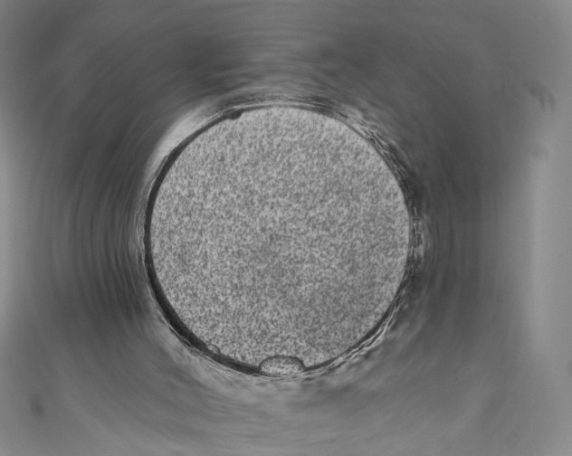 X0000110960004200907101337