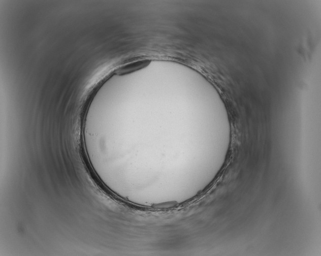 X0000110960005200907101337