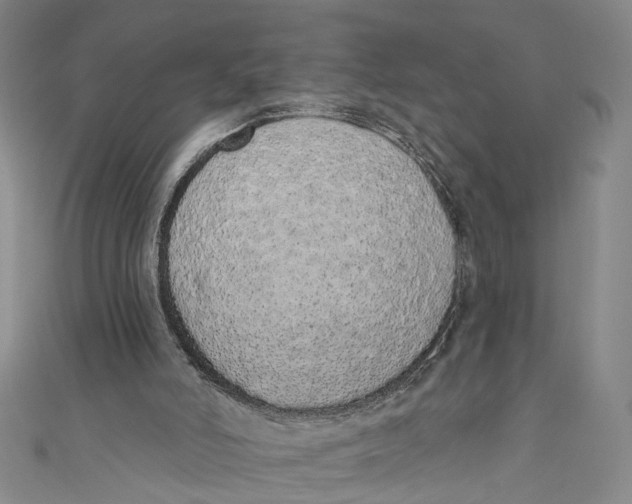 X0000110960006200907101337