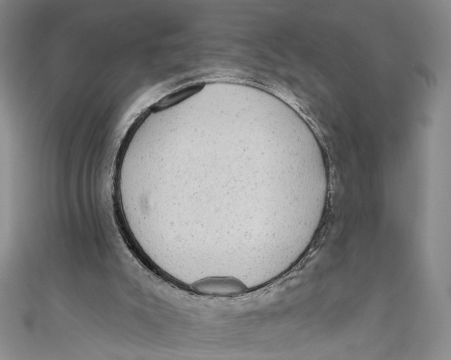 X0000110960007200907101337