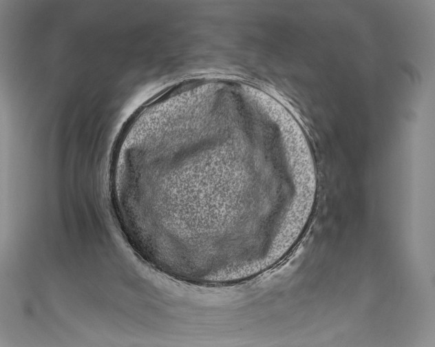 X0000110960008200907101337