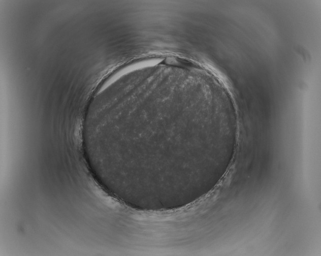 X0000110960009200907101337