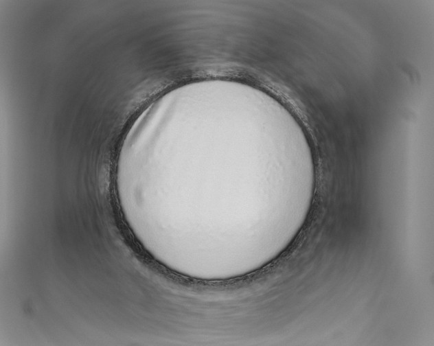 X0000110960010200907101337