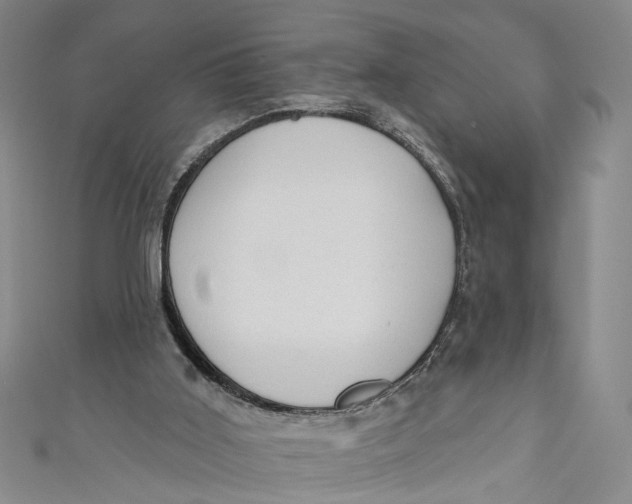 X0000110960011200907101337