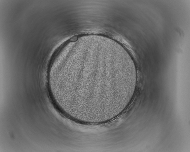 X0000110960012200907101337