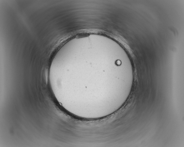 X0000110960013200907101337