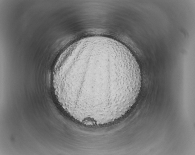 X0000110960014200907101337