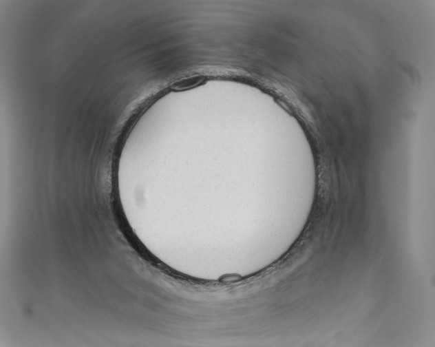 X0000110960015200907101337