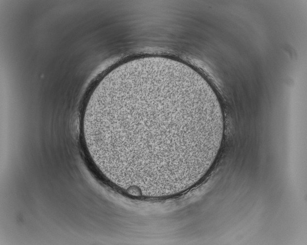 X0000110960016200907101337