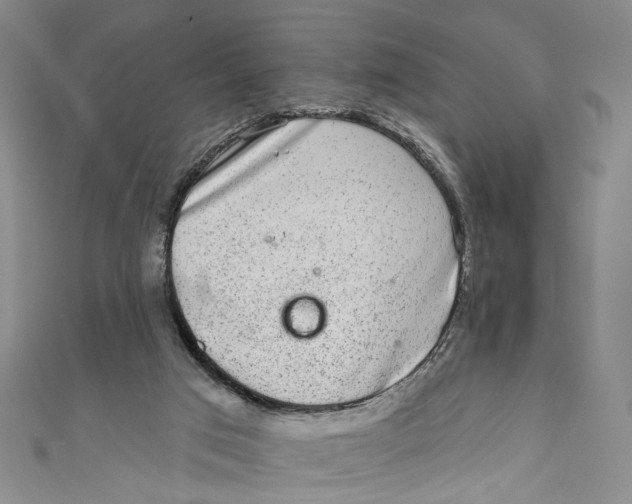 X0000110960017200907101337