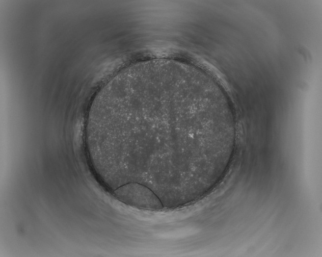 X0000110960018200907101337