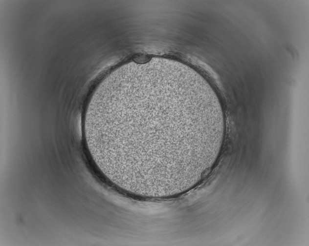 X0000110960020200907101337