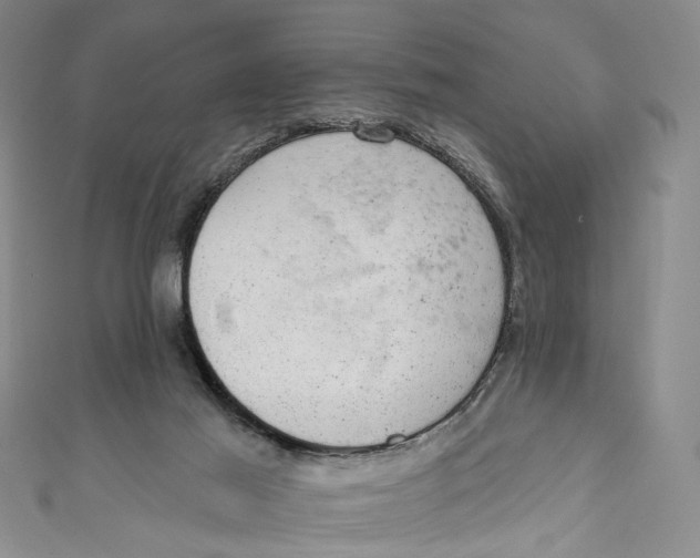 X0000110960021200907101337