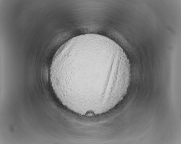 X0000110960022200907101337