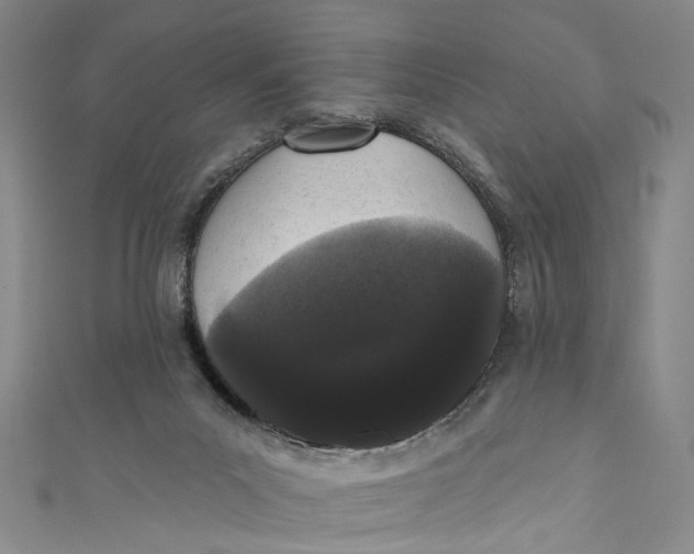 X0000110960023200907101337