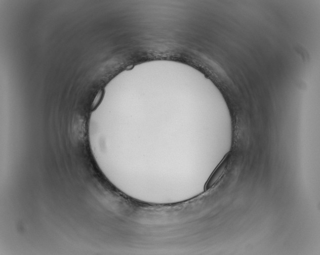 X0000110960025200907101337