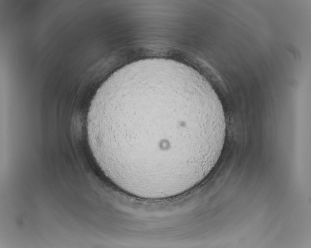 X0000110960026200907101337