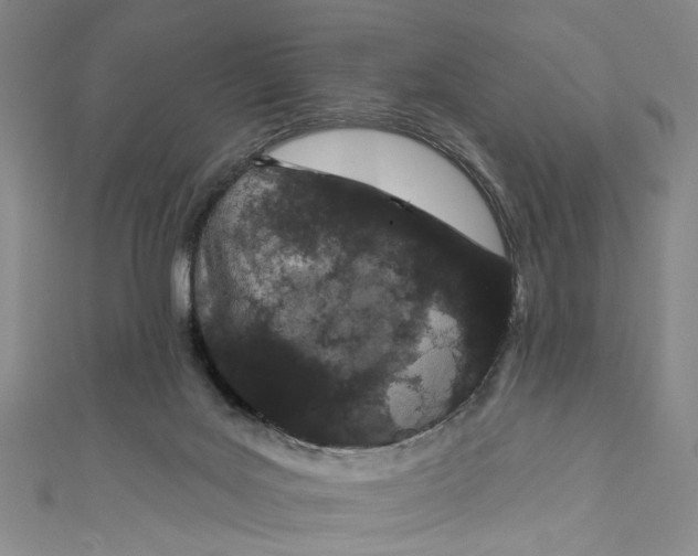 X0000110960027200907101337