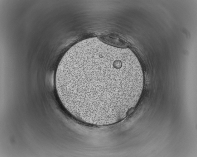 X0000110960028200907101337