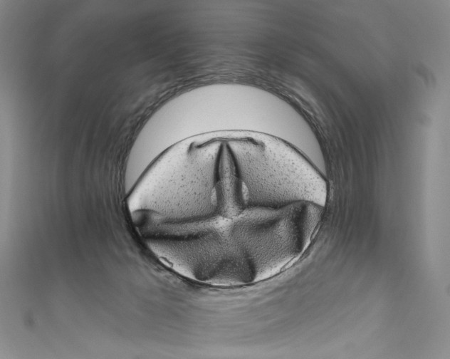 X0000110960029200907101337