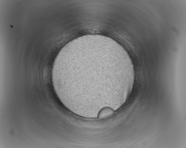 X0000110960030200907101337