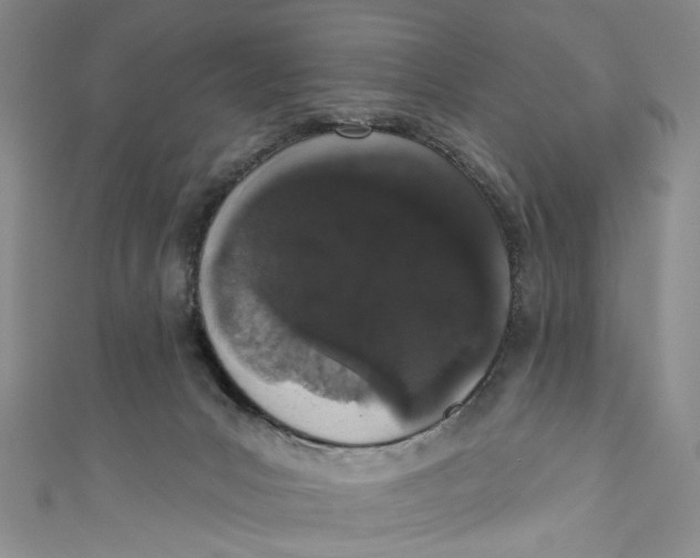 X0000110960031200907101337