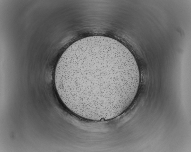 X0000110960032200907101337