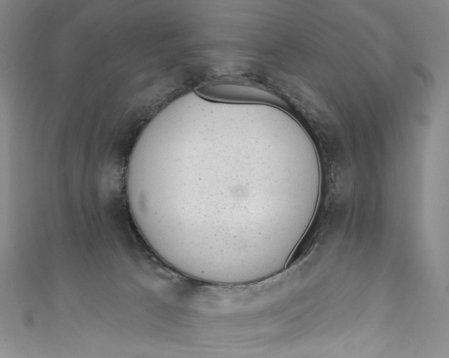 X0000110960033200907101337