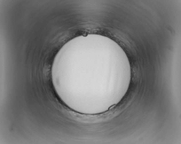 X0000110960034200907101337