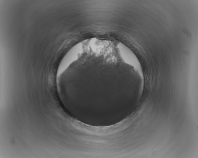 X0000110960035200907101337