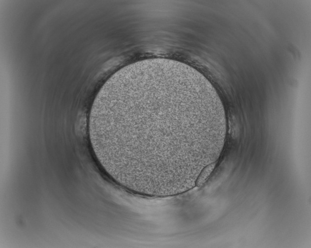 X0000110960036200907101337