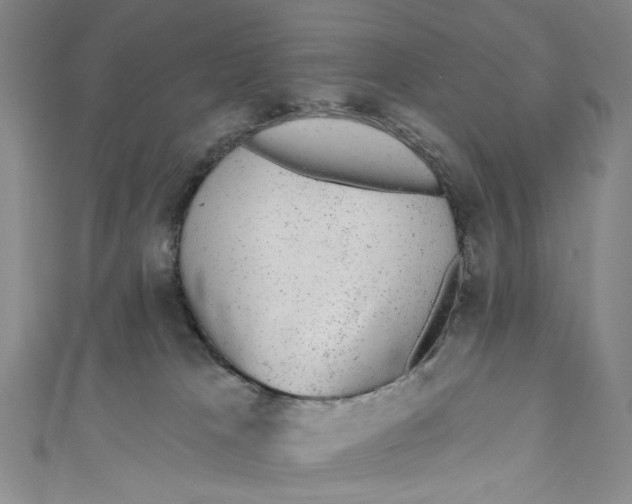 X0000110960037200907101337