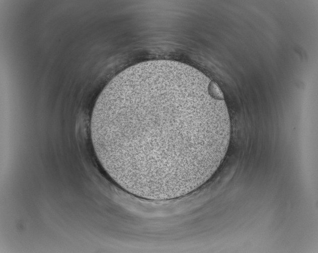 X0000110960038200907101337