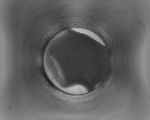 X0000110960039200907101337