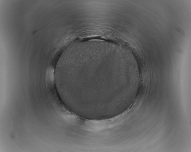 X0000110960041200907101337