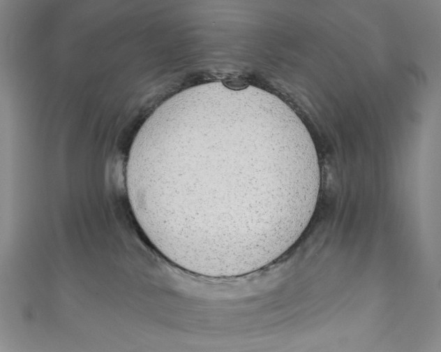 X0000110960042200907101337