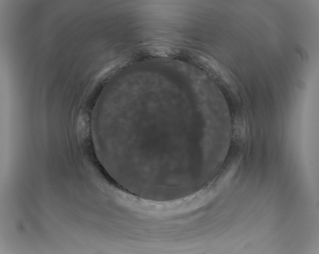 X0000110960043200907101337