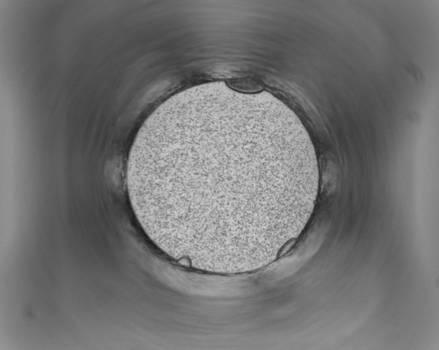 X0000110960044200907101337