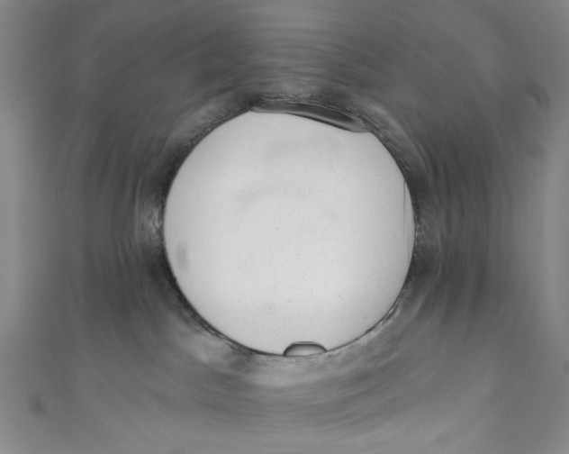 X0000110960045200907101337