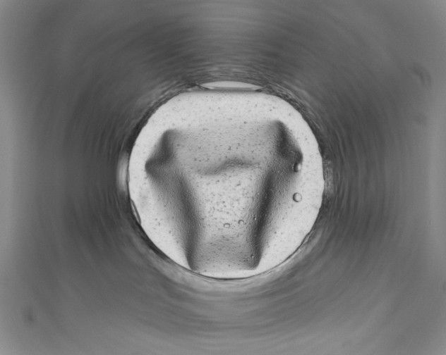 X0000110960047200907101337