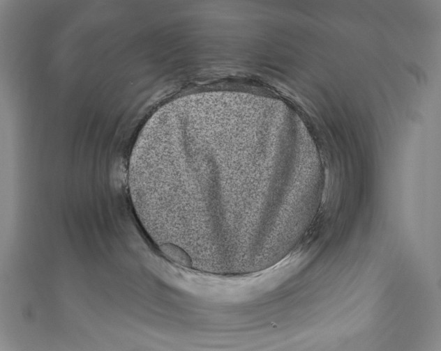 X0000110960048200907101337