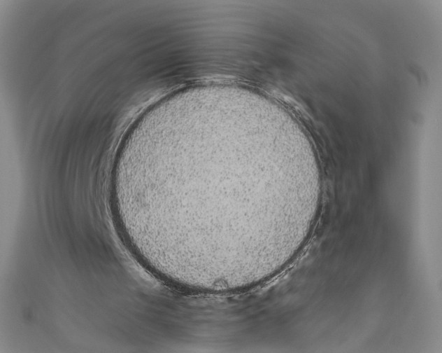 X0000110960049200907101336