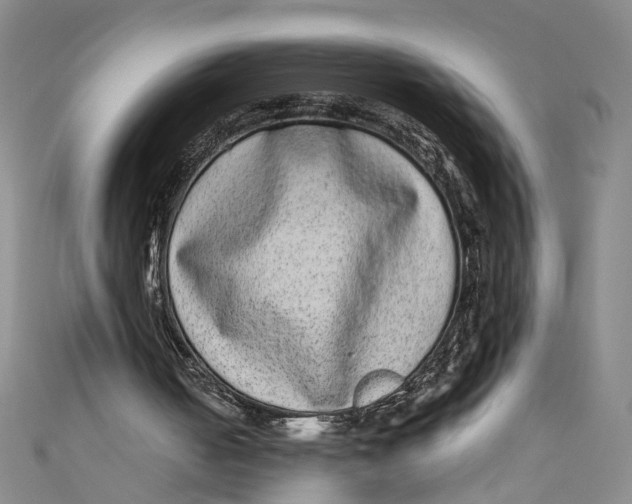 X0000110960050200907101336