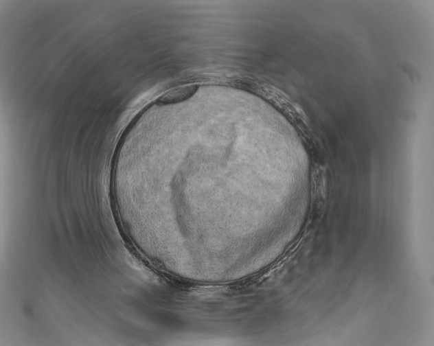 X0000110960051200907101336